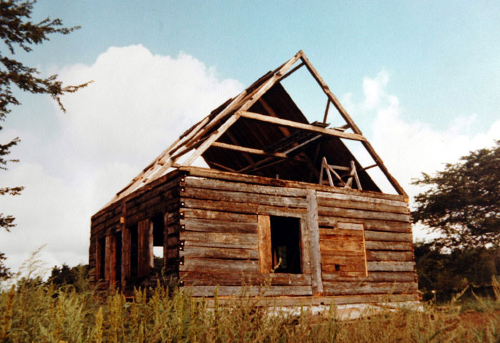 alt